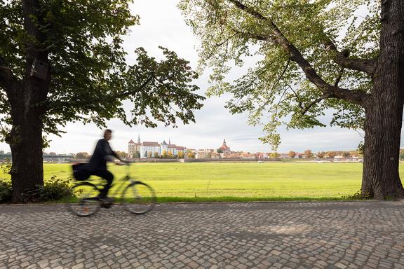 Fahrradfahrerin auf dem Elberadweg, im Hintergrund Schloss Hartenfels